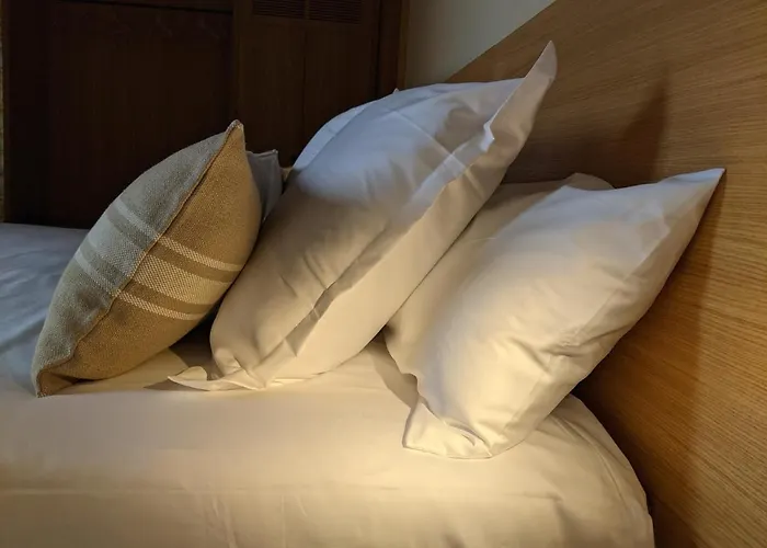 Вілла Torre De Puig